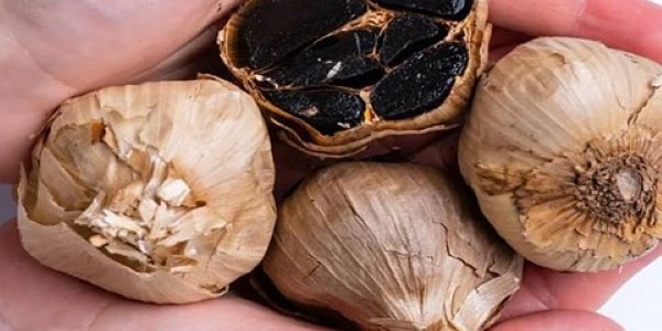 تصویر 3 از خرید و قیمت سیر سیاه تازه + فروش صادراتی